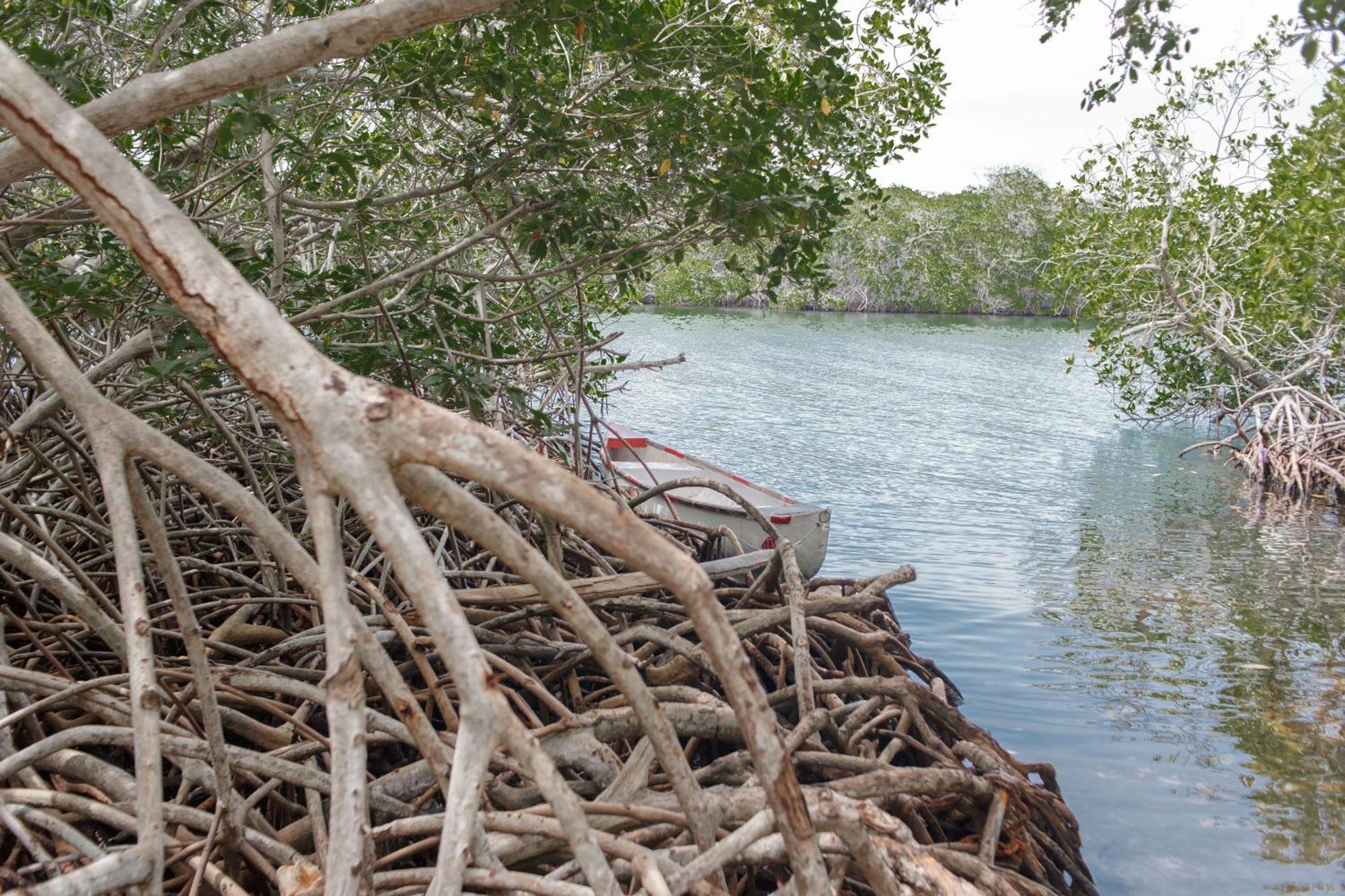 Isla Grande Eco-Hostal Екстериор снимка